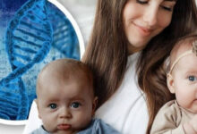 Photo of Борьба с неравенством: какие страны разрабатывают программы по уменьшению разрыва между богатыми и бедными