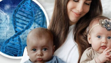 Photo of Борьба с неравенством: какие страны разрабатывают программы по уменьшению разрыва между богатыми и бедными