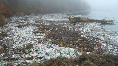 Photo of Экологические проблемы: какие угрозы несет изменение климата