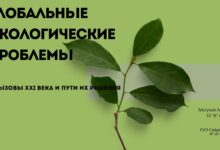 Photo of Глобальные экологические проблемы: какие вызовы стоят перед человечеством
