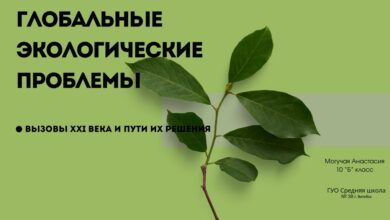 Photo of Глобальные экологические проблемы: какие вызовы стоят перед человечеством