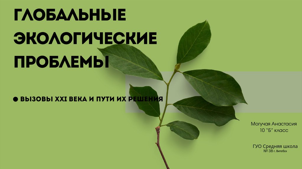 Фото 4 — Глобальные экологические проблемы: какие вызовы стоят перед человечеством
